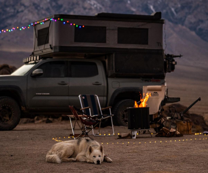 Dog outside camper van, with PACKFIRE portable fire pit