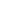 Social icon 1
