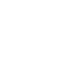 Social icon 2